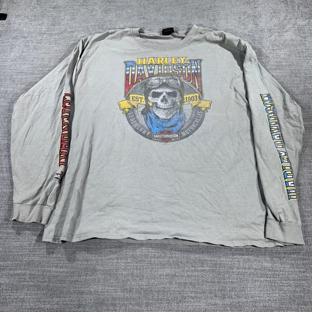 Harley Davidson T-Shirt Mens XL Gray Good Skull San Jacinto Pasadena TX Long Slv